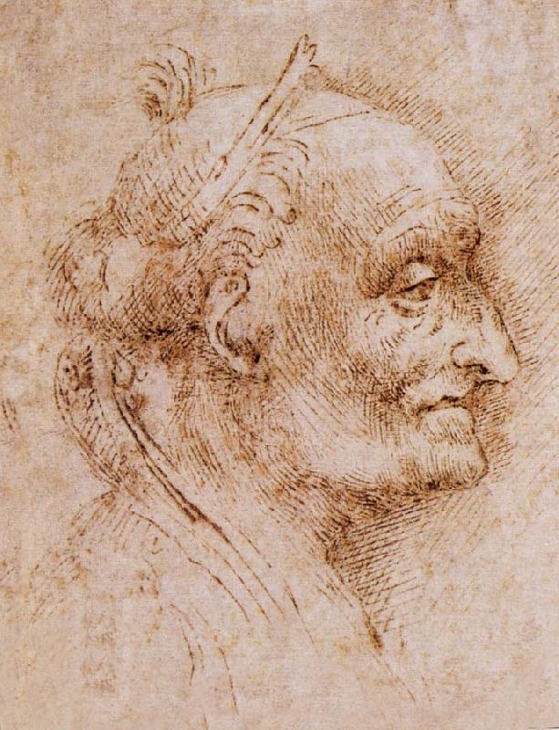 Aurelio Luini attributed, profile of an old man, LEONARDO da Vinci